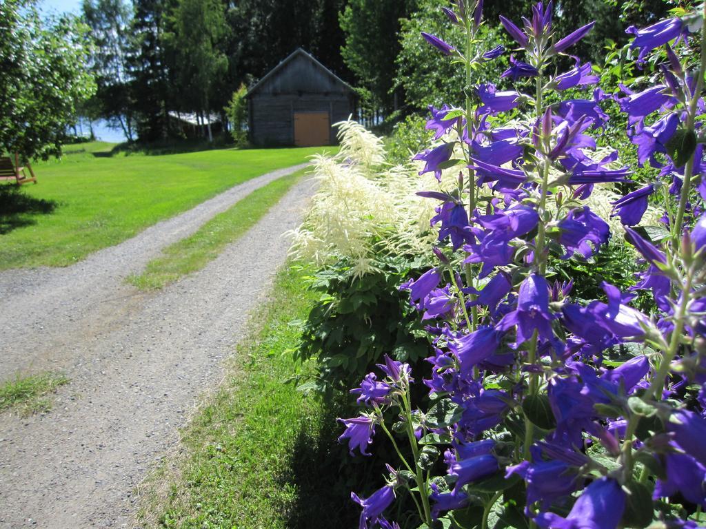 Hotel Karjalan Helmi Tolosenmäki Esterno foto