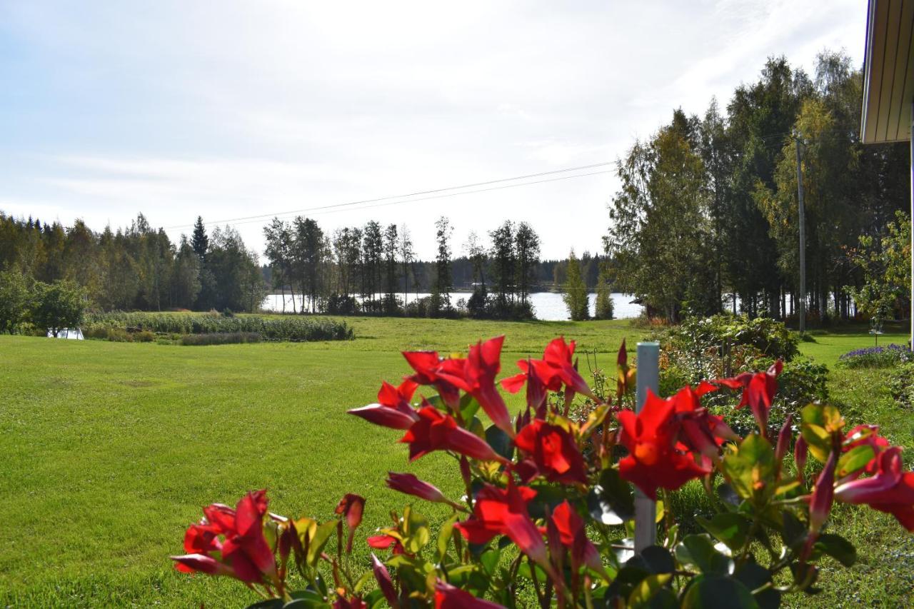 Hotel Karjalan Helmi Tolosenmäki Esterno foto